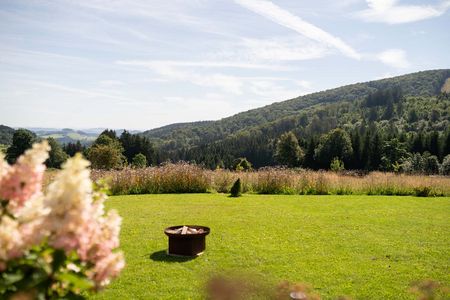 Ausblick in die Natur mit Wise und Wald